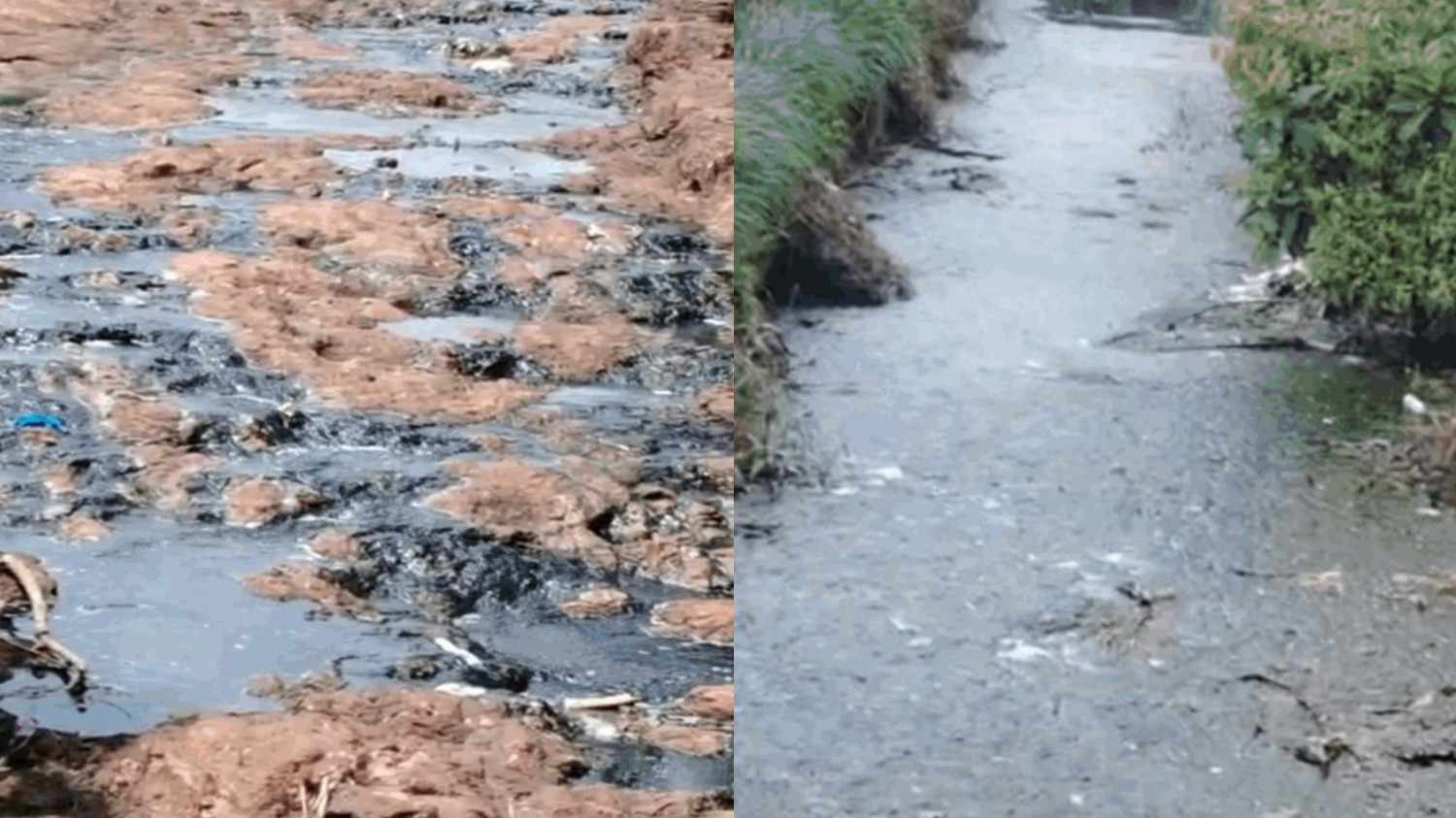 मिरजोळेत कंपन्यांकडून रासायनिक दूषित पाण्याचा विळखा; अधिकाऱ्यांच्या दुर्लक्षामुळे ग्रामस्थांचा तीव्र आंदोलनाचा इशारा