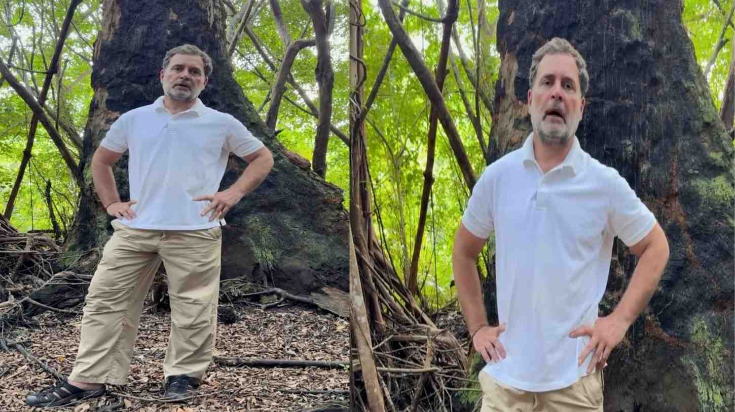 ‘ग्रेट निकोबारमध्ये निसर्ग आणि आदिवासींच्या संपत्तीची लूट!’ राहुल गांधींचा व्हिडिओ शेअर करत सरकारवर गंभीर आरोप