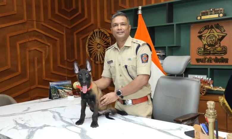 रत्नागिरी जिल्हा पोलीस दलाच्या श्वान पथकात ‘बेल्जियन मालिनॉइस’ जातीचा श्वान दाखल