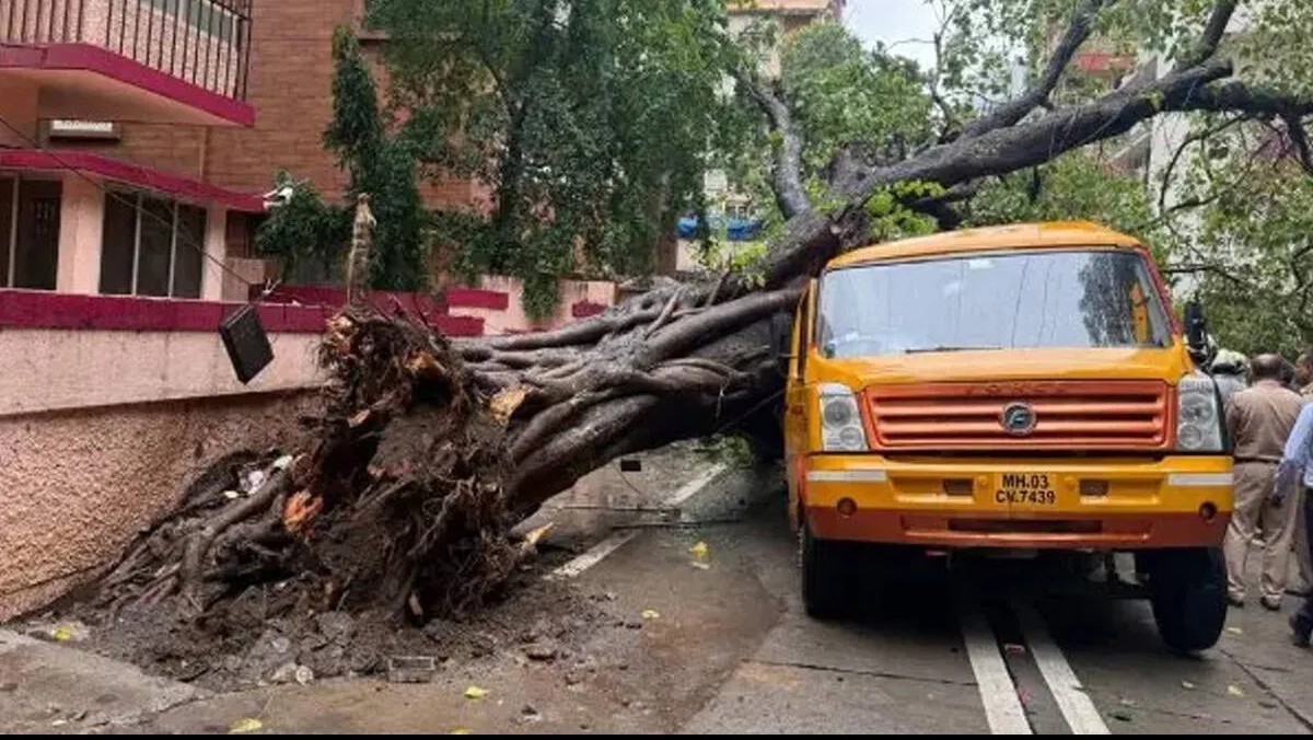चेंबूरमध्ये स्कूल बसवर पिंपळाचे झाड कोसळले; ११ वर्षीय विद्यार्थ्याचा मृत्यू, चार जण जखमी