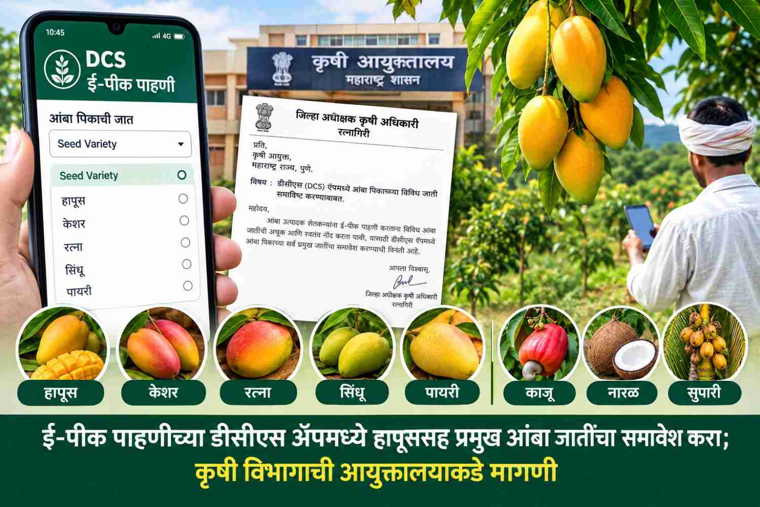 ई-पीक पाहणीच्या डीसीएस ॲपमध्ये हापूससह प्रमुख आंबा जातींचा समावेश करा; कृषी विभागाची आयुक्तालयाकडे मागणी